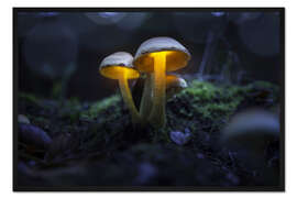 Gerahmter Kunstdruck Magische, leuchtende Pilze