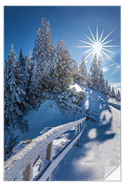 Wandsticker Winterpracht in Füssen am Tegelberg