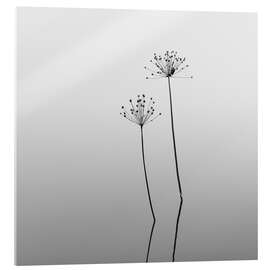 Acrylic print Melancholy - flowers in the water