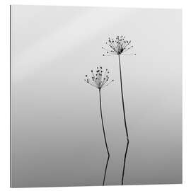 Gallery Print Melancholie - Blumen im Wasser