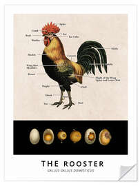 Selvklebende plakat The Rooster, Diagram (Vintage)