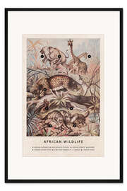 Gerahmter Kunstdruck Afrikanische Tierwelt (Vintage, Englisch)