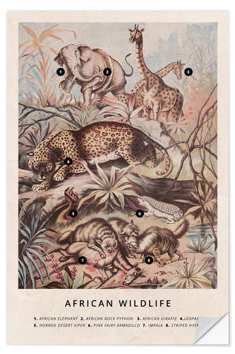 Selvklebende plakat African wildlife (vintage)