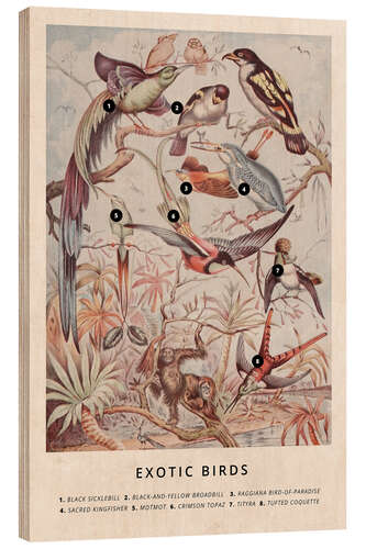 Wood print Exotic birds