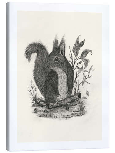 Canvas print Squirrel