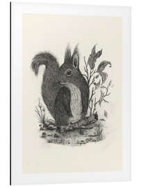Magnettafel Eichhörnchen