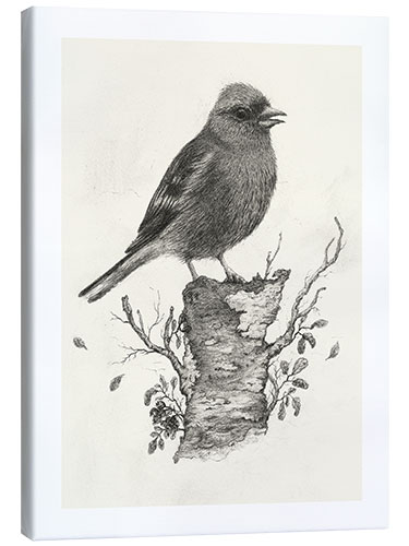 Canvas print Chaffinch