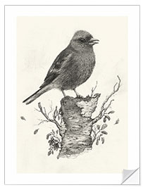 Wall sticker Chaffinch