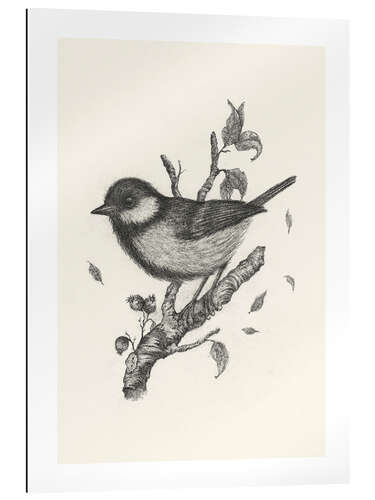 Galleriprint Tit