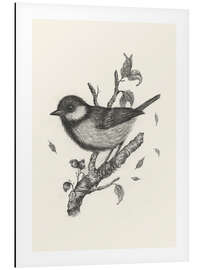 Magnettafel Kohlmeise