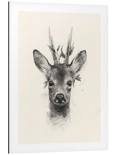 Aluminium print Young roebuck