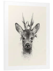 Foam board print Young roebuck