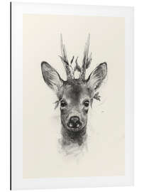 Magnettafel Junger Rehbock