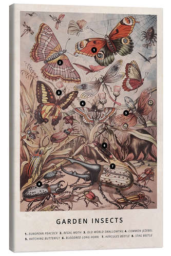 Canvas print Garden Insects