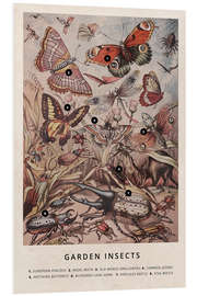 Foam board print Garden Insects