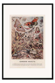 Gerahmter Kunstdruck Garten-Insekten (Vintage, Englisch)