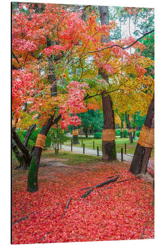 Alumiinitaulu Okayama, Japanese garden