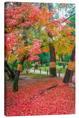 Lærredsbillede Okayama, Japanese garden