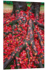 PVC print Autumn leaves of the maple