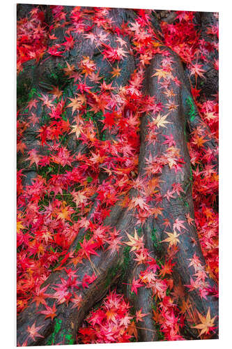 PVC print Japanese garden with autumn leaves