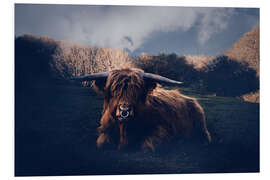 Foam board print Shaggy cattle in the meadow