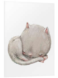 Foam board print Sleeping kitten