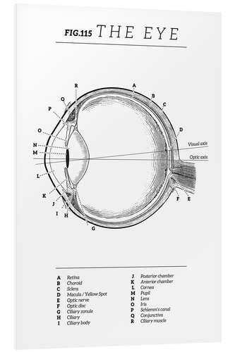 PVC-tavla Eye Vintage Chart