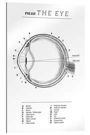 Quadro em plexi-alumínio Eye Vintage Chart