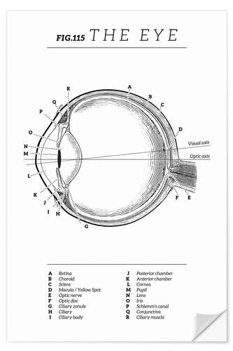 Självhäftande poster Eye Vintage Chart