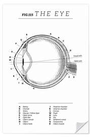 Autocolante decorativo Eye Vintage Chart