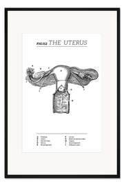Gerahmter Kunstdruck Der Uterus, Diagramm (Vintage, Englisch)