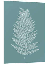 Foam board print Palm leaf botany