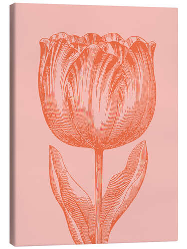 Canvas-taulu Apricot spring tulip