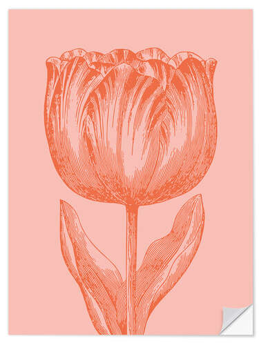 Selvklebende plakat Apricot spring tulip