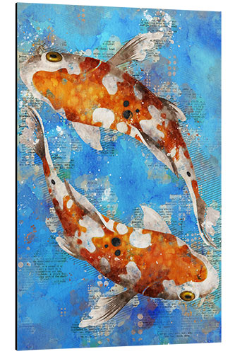 Aluminiumsbilde Koi Fishes