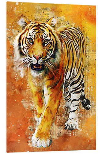 Acrylglasbild Tiger