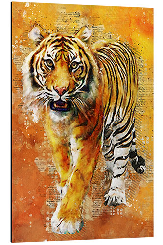 Aluminium print Tiger