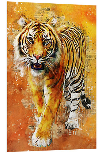 Foam board print Tiger