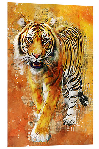 Gallery Print Tiger