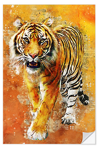 Selvklebende plakat Tiger