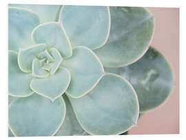 Foam board print Succulent glow