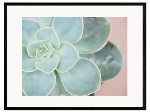 Innrammet kunsttrykk Succulent glow