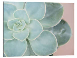 Magnettafel Sukkulentes Leuchten