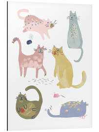 Magnettafel Katzenkader IV