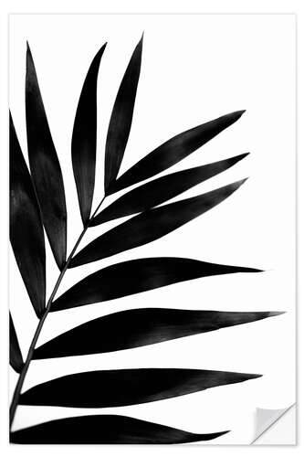 Selvklebende plakat Black palm tree