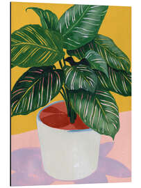 Magnettafel Calethea