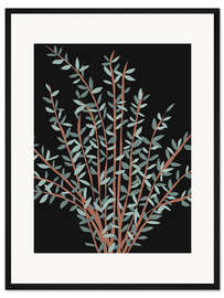 Gerahmter Kunstdruck Eukalyptus II