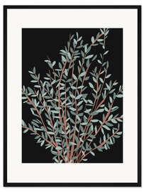 Gerahmter Kunstdruck Eukalyptus