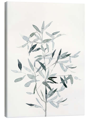 Canvas print Tender sage