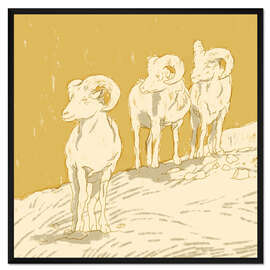 Gerahmter Kunstdruck Widder II